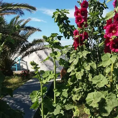 Apartman White 4 Komia